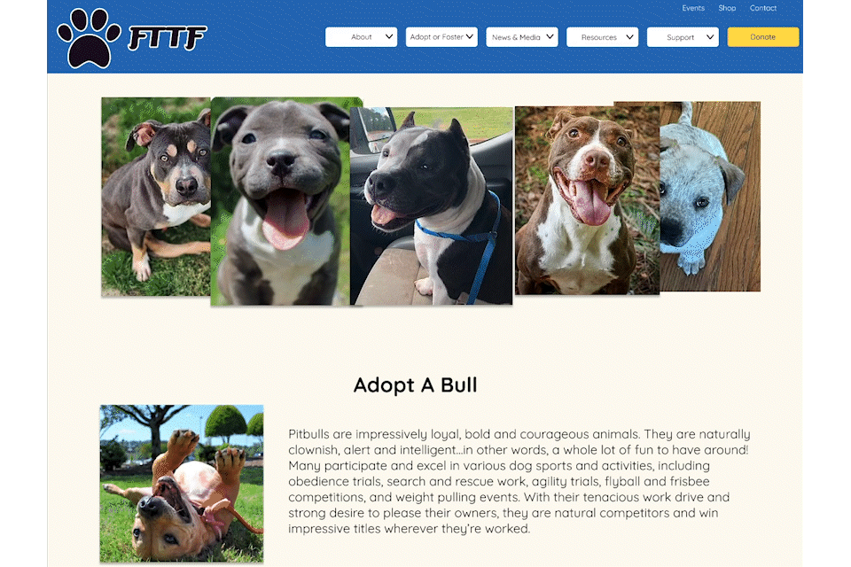 Friends to the Forlorn Website Redesign
